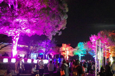 園内イルミネーションイベント開催！